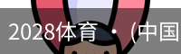2028体育